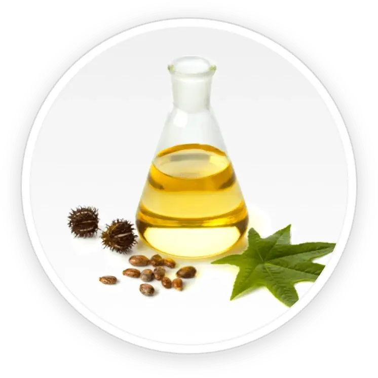 Undecylenic Acid USP (5%)